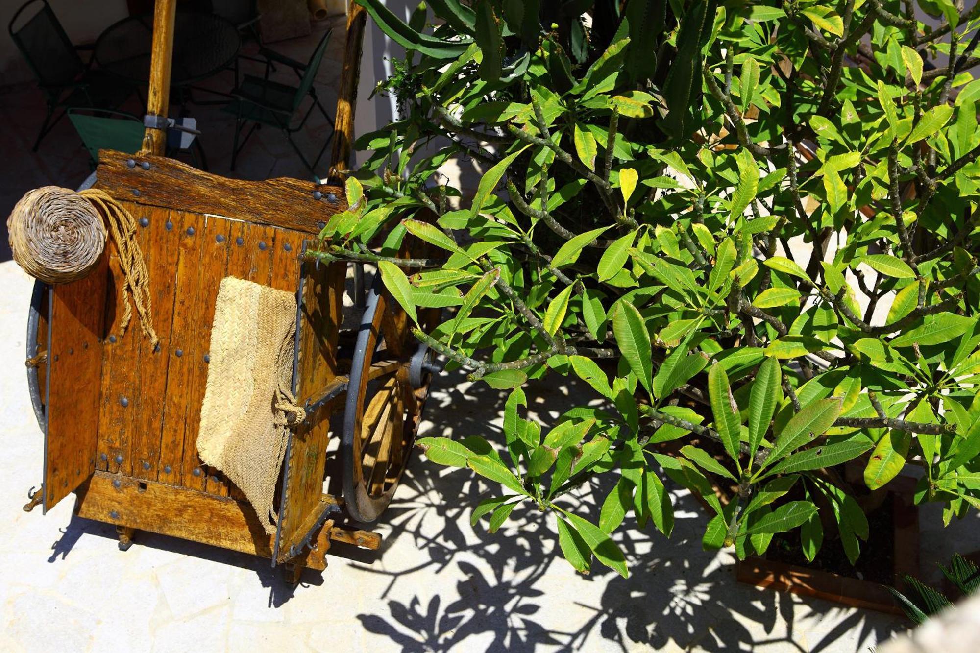 B&B Sabir San Vito Lo Capo Bagian luar foto
